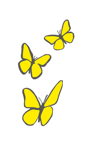 Macondo Butterflies